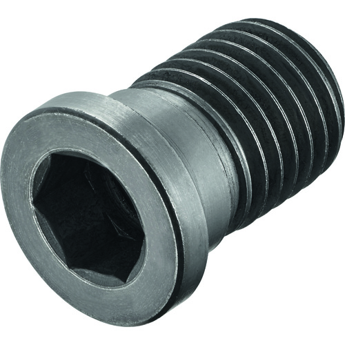 FS2069 Screw with Head