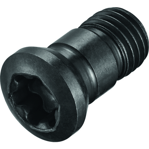 FS2071 Screw with Head