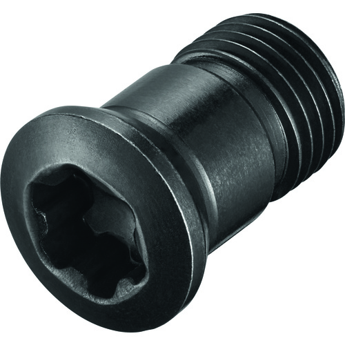 FS2072 Screw with Head