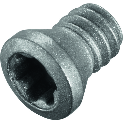 FS2076 Screw with Head