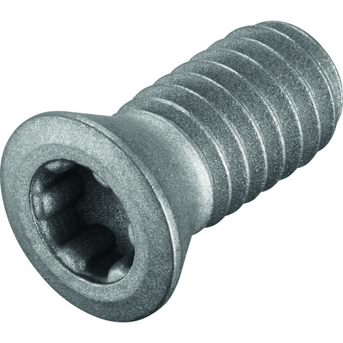 FS2080 Screw with Head