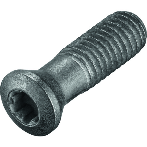 FS2090 Screw with Head