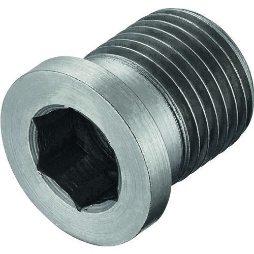 FS2091 Screw with Head