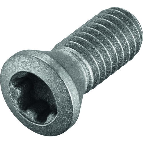 FS2119 Screw with Head