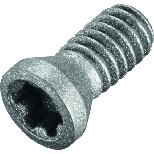 FS2120 Screw with Head