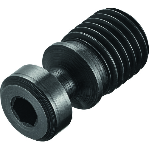 FS2129 Screw with Head