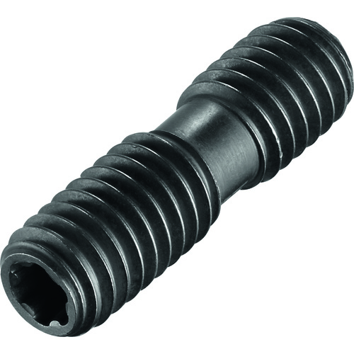 FS2134 Screw without Head