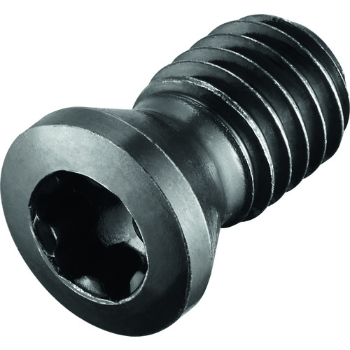 FS2139 Screw with Head