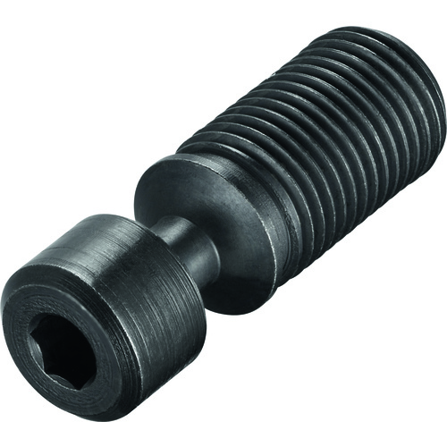 FS2145 Screw without Head