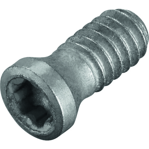 FS2148 Screw with Head