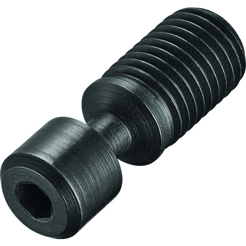 FS2156 Screw without Head
