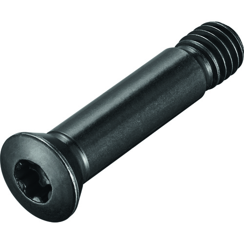 FS2159 Screw with Head