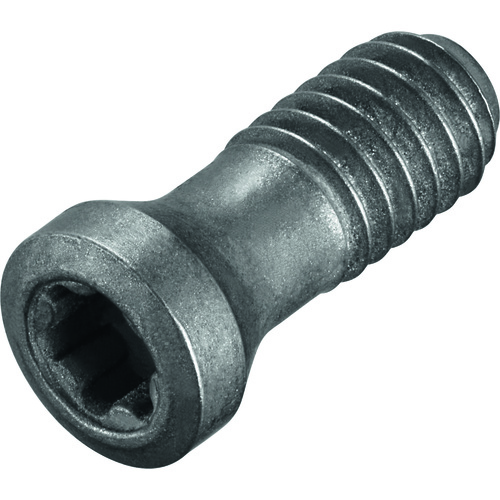 FS2172 Screw with Head