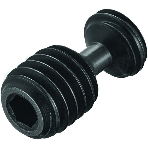 FS2182 Screw with Head
