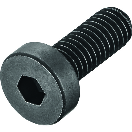 FS2242 Screw with Head