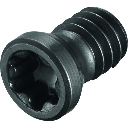 FS2245 Screw with Head