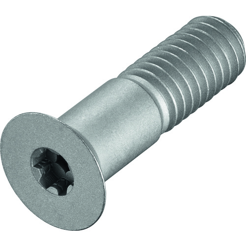 FS2271 Screw with Head