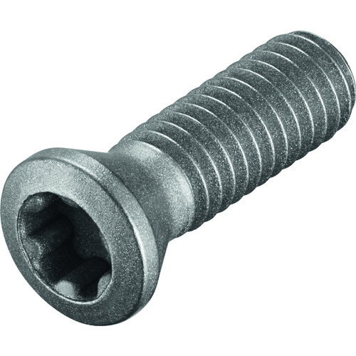 FS2279 Screw with Head
