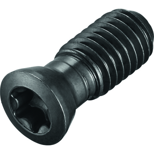 FS242 Screw with Head