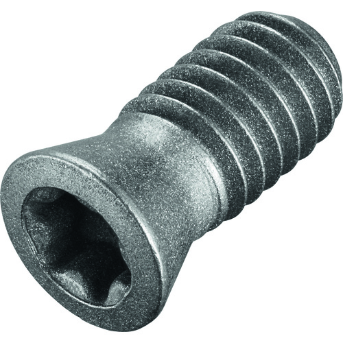 FS244 Screw with Head