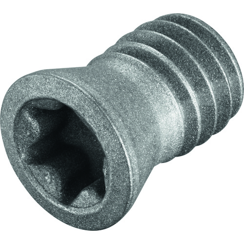 FS245 Screw with Head