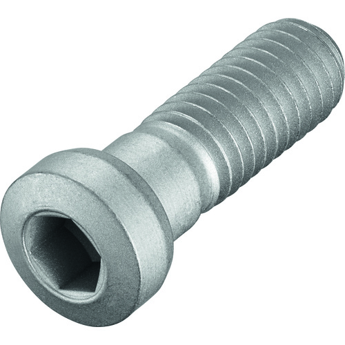 FS247 Screw with Head