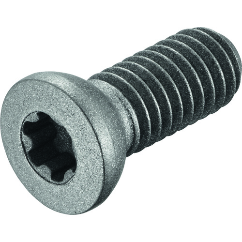 FS2579 Screw with Head