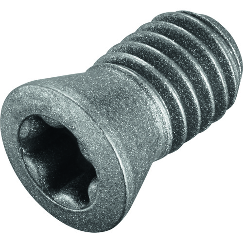 FS258 Screw with Head