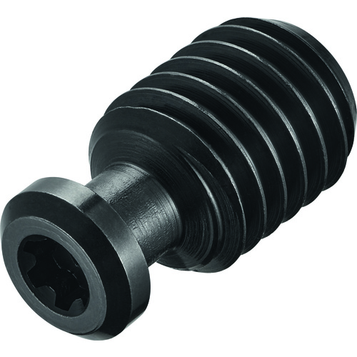 FS2616 SCREWS W/HEAD