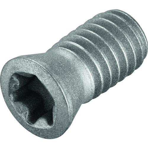 FS319 Screw with Head
