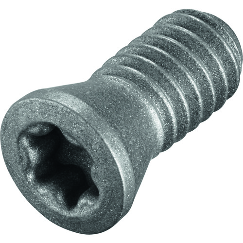 FS322 Screw with Head