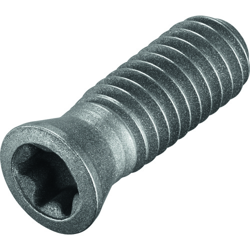 FS326 Screw with Head