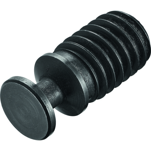 FS332 Screw with Head