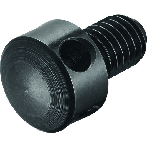 FS335 Screw with Head