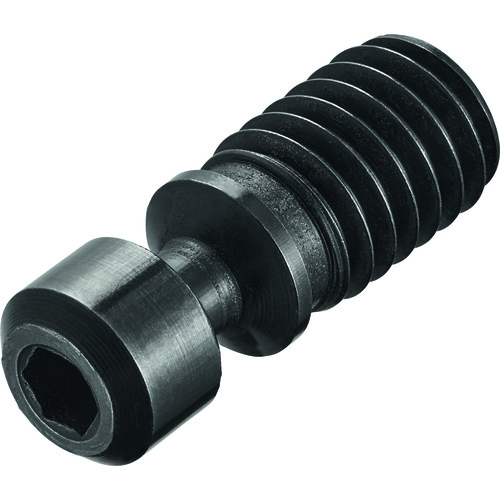 FS351 Screw with Head