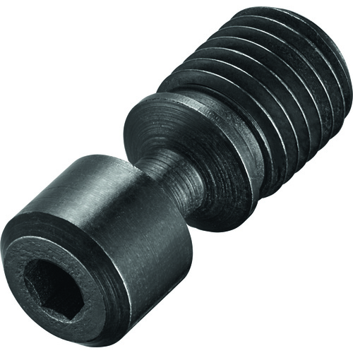 FS352 Screw with Head