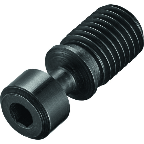 FS355 Screw with Head