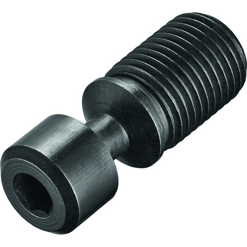 FS356 Screw with Head