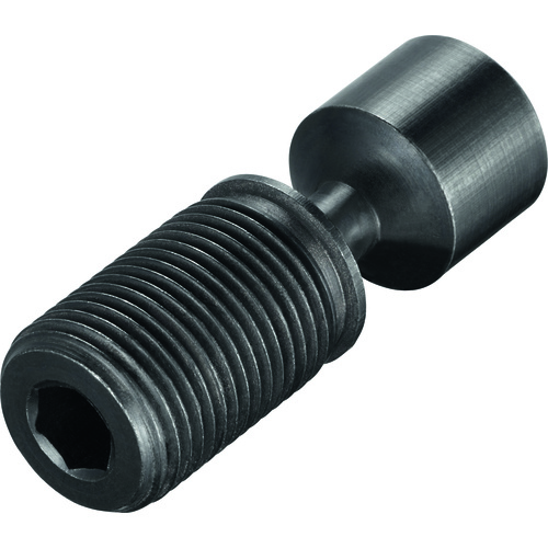 FS357 Screw with Head