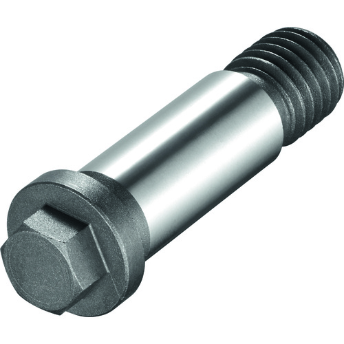 FS370 Screw with Head