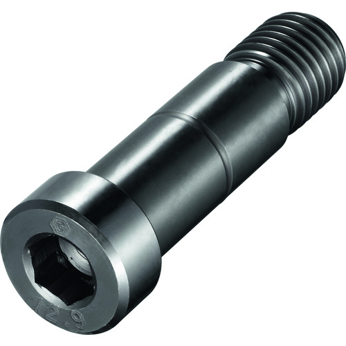 FS372 Screw with Head