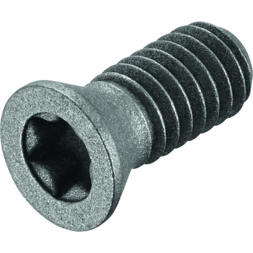 FS375 Screw with Head