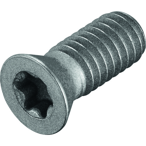 FS378 Screw with Head