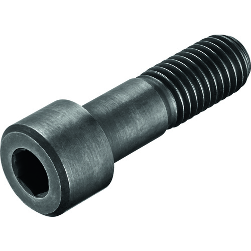 FS415 Screw with Head