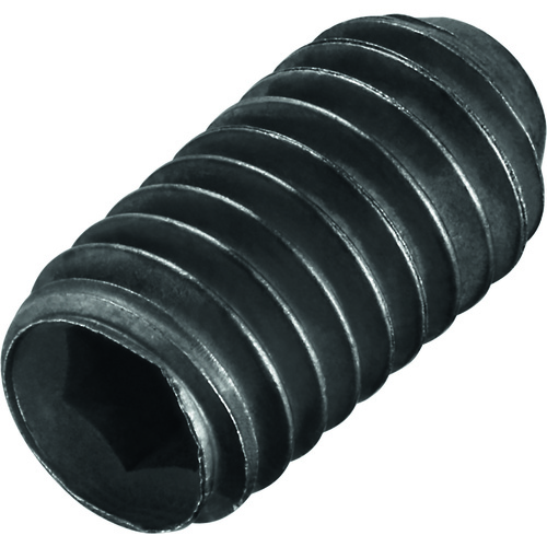 FS493 Screw without Head