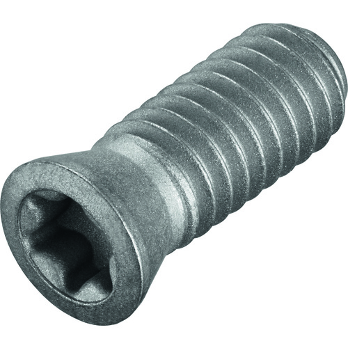 FS749 Screw with Head