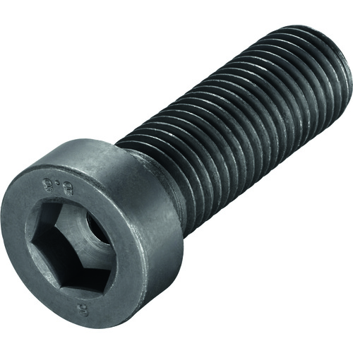 FS832 Screw with Head
