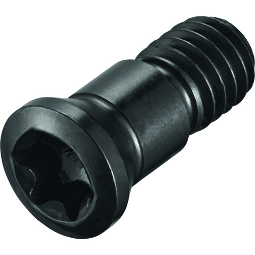 FS922 Screw with Head