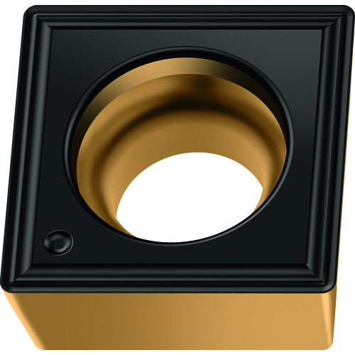 SCMT120408-FP6 WPP20G