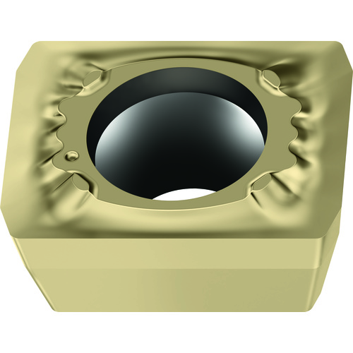 LCMX050203-B57 WSP45G